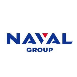 Naval Group color logo