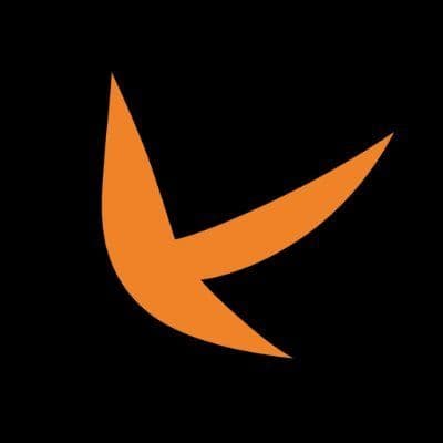 Nekki color logo