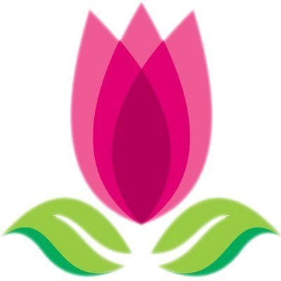 Nelly Florist Bandung color logo