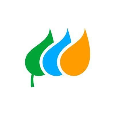 Neoenergia color logo