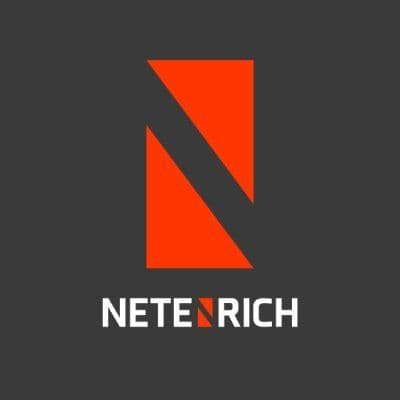 Netenrich color logo