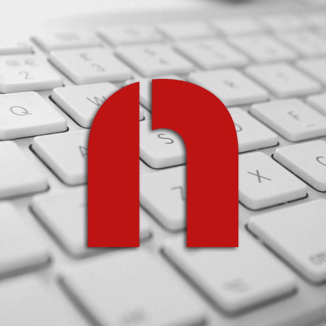 Netgaleria color logo