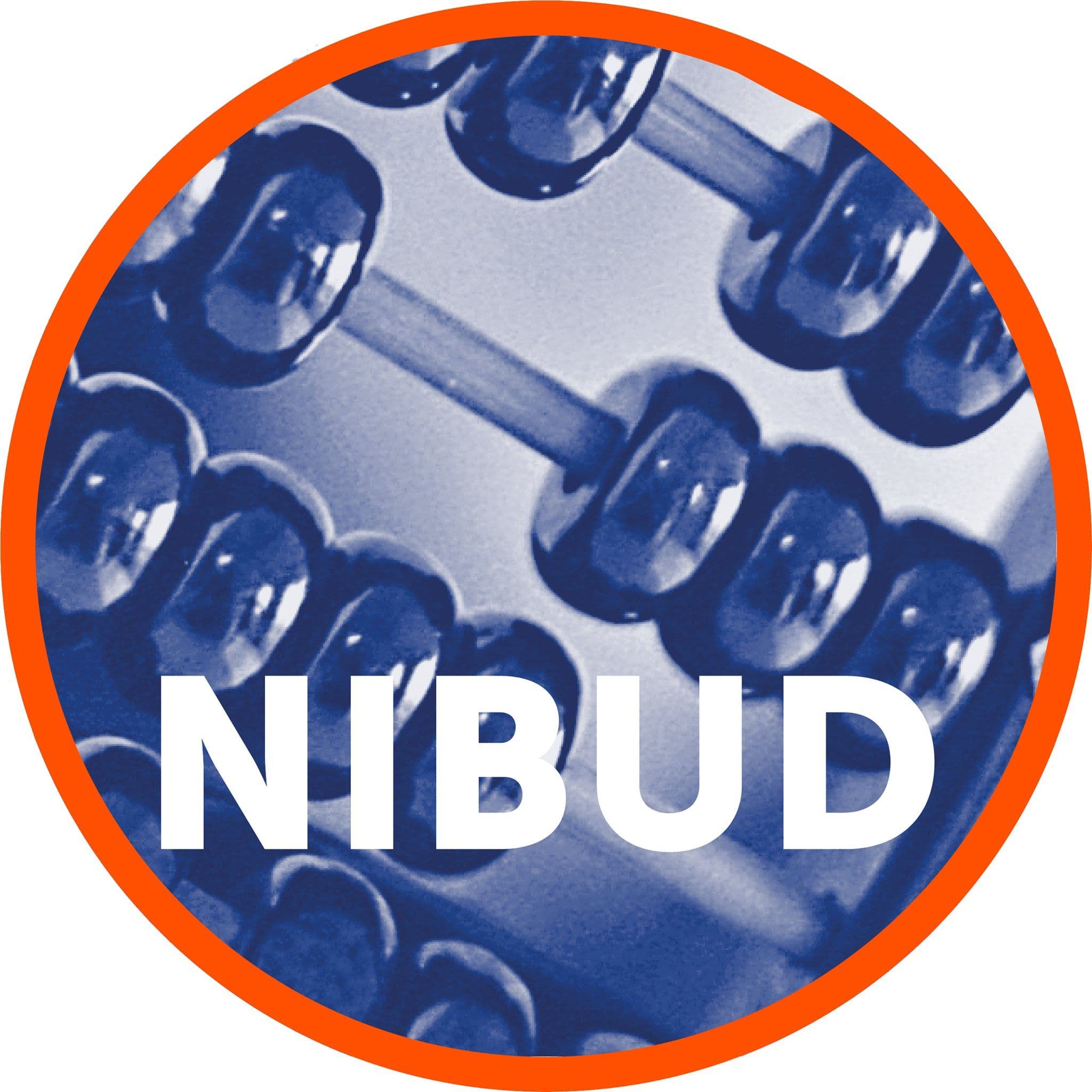 Nibud color logo