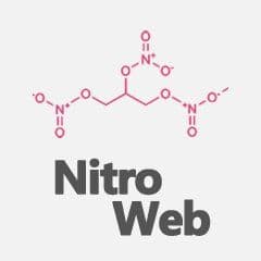 NitroWeb Development color logo