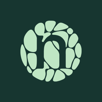Novonesis color logo