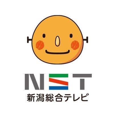 NST 新潟総合テレビ color logo