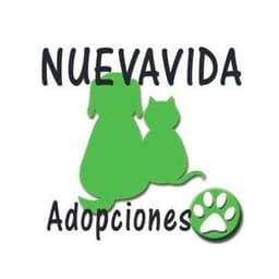 NUEVA VIDA ADOPCIONES