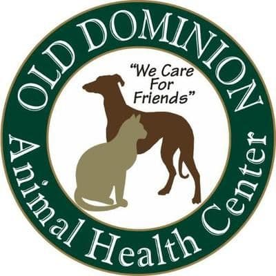 ODAHCenter color logo