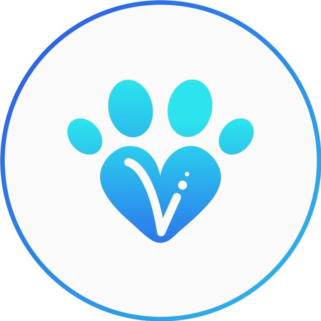 Okvet color logo