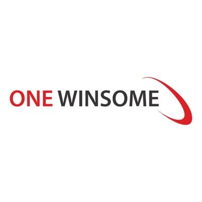 Onewinsome color logo