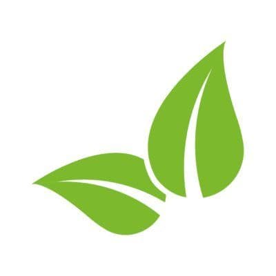 Organifer color logo