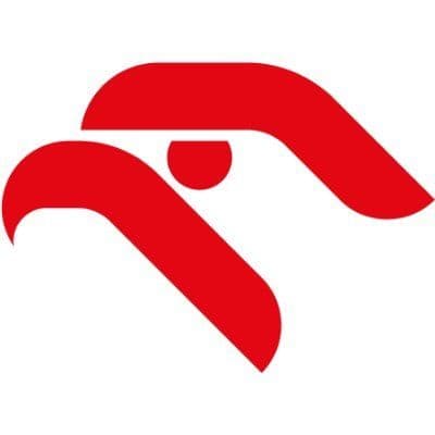 ORLEN color logo