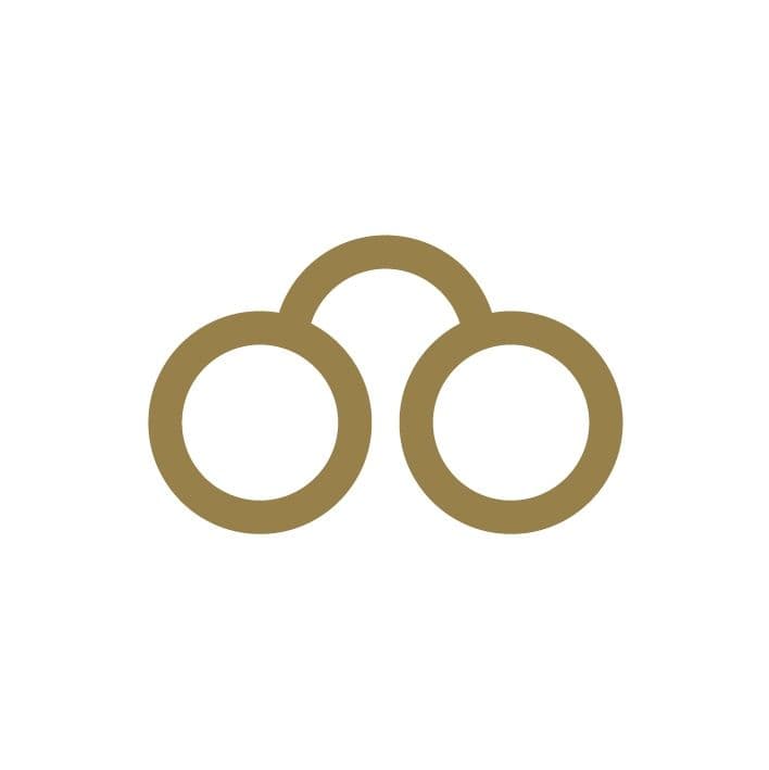 Stad Oudenaarde color logo