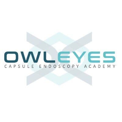 Owl Eyes Academy color logo
