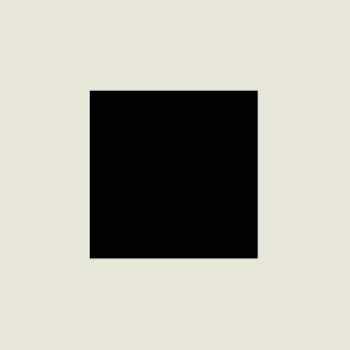 PAC NYC color logo
