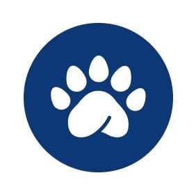 Pandapé LATAM color logo