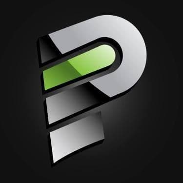 Payler color logo