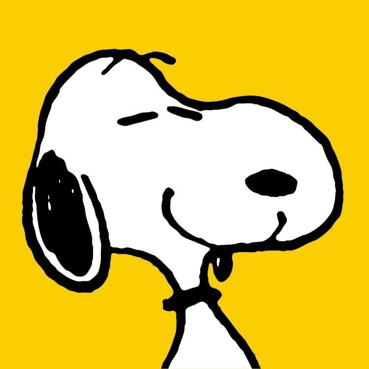 Peanuts color logo