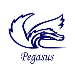 Pegasus Perú