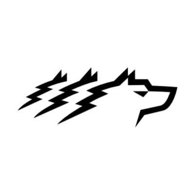Wolf Group Global color logo