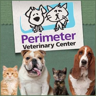 At Perimeter Veterinary Center color logo