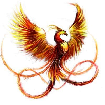 Phoenix Veterinary color logo