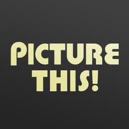 Picture This Gallery