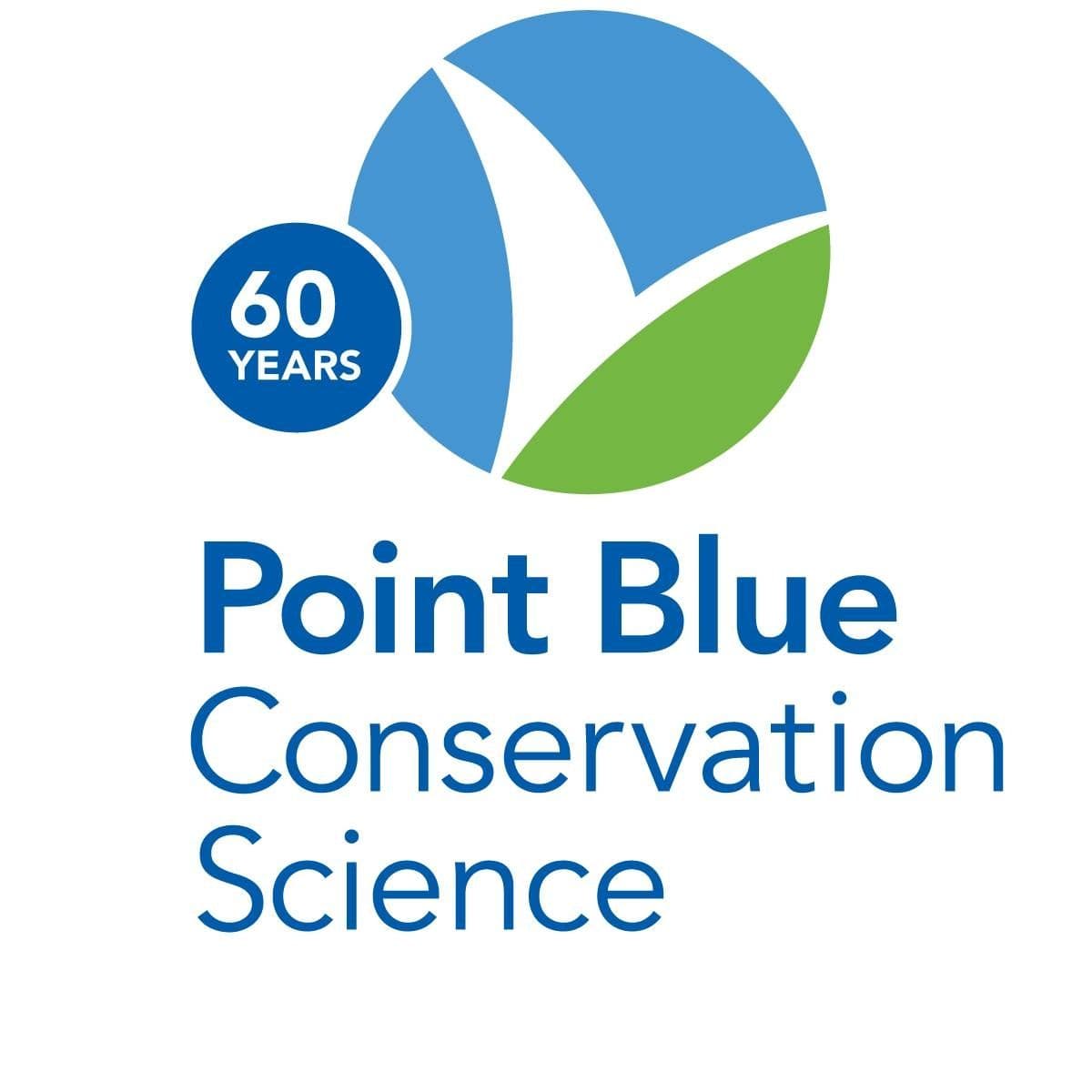 Point Blue color logo