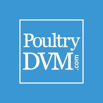 PoultryDVM color logo