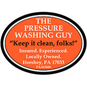 The Pressure Washing Guy color logo