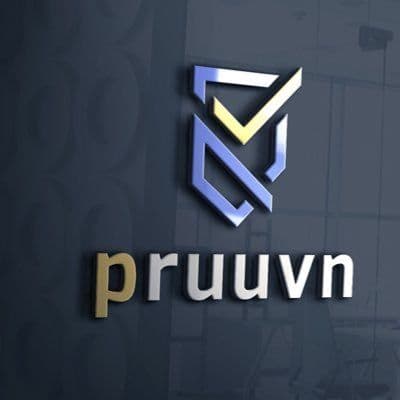 Pruuvn color logo
