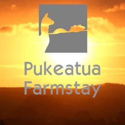 Pukeatua Farmstay color logo