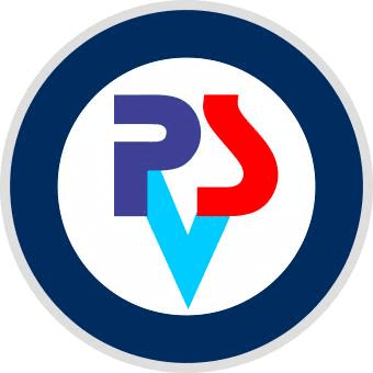PVS GROUP of Companies color logo