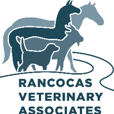 Rancocas Veterinary Associates color logo