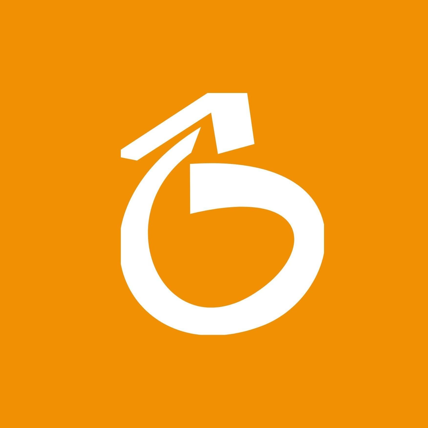 Rio Ônibus color logo