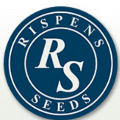 Rispens Seeds