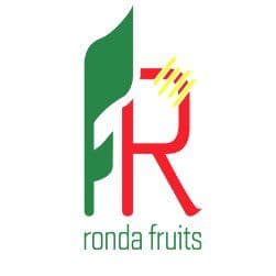 Rondafruits sl color logo