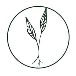 Root Functional Medicine
