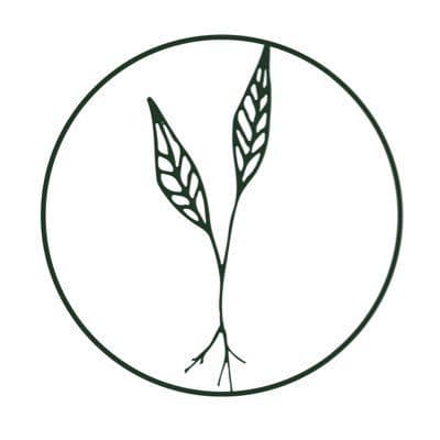 Root Functional Medicine color logo