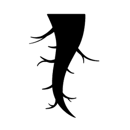 Root Simple