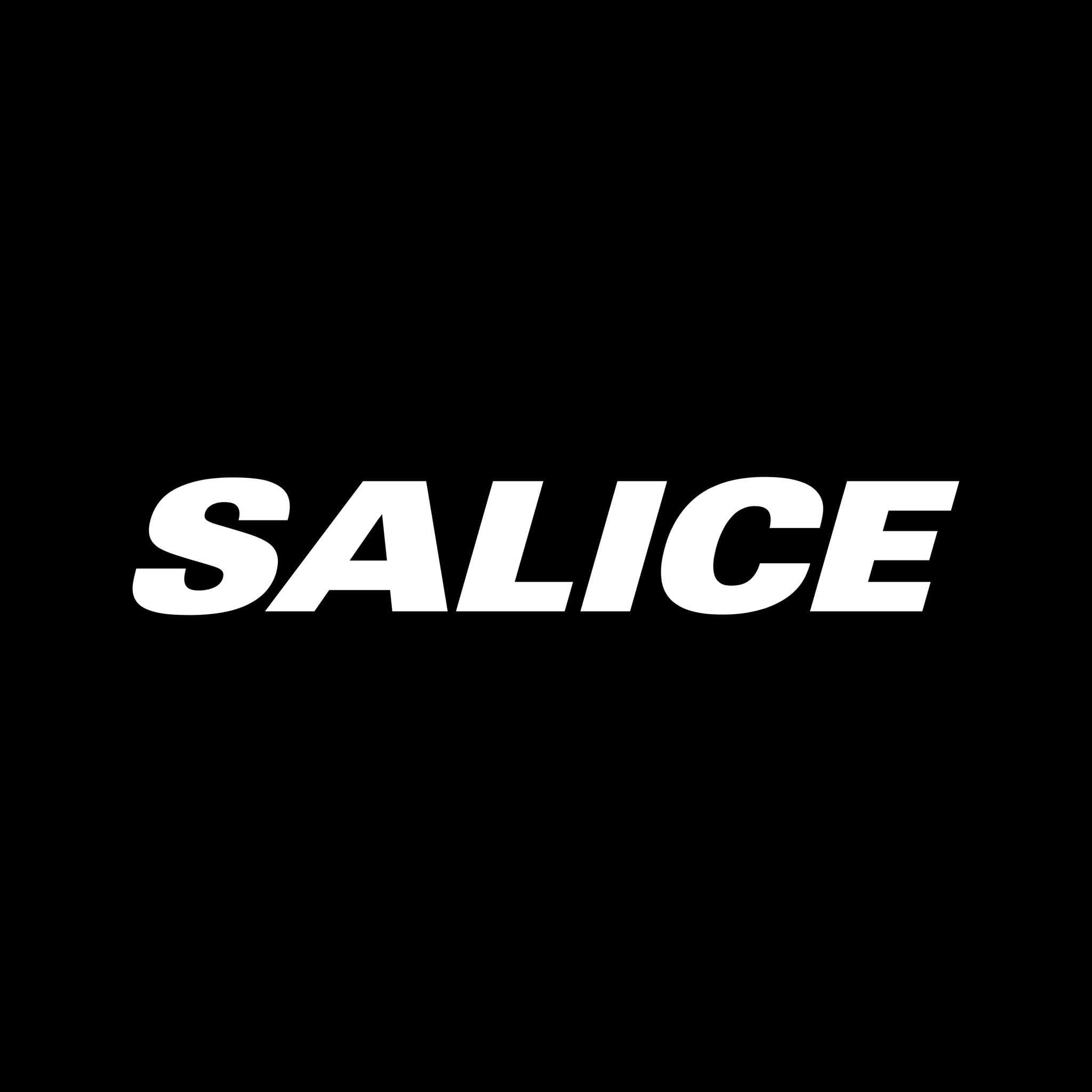 Salice color logo