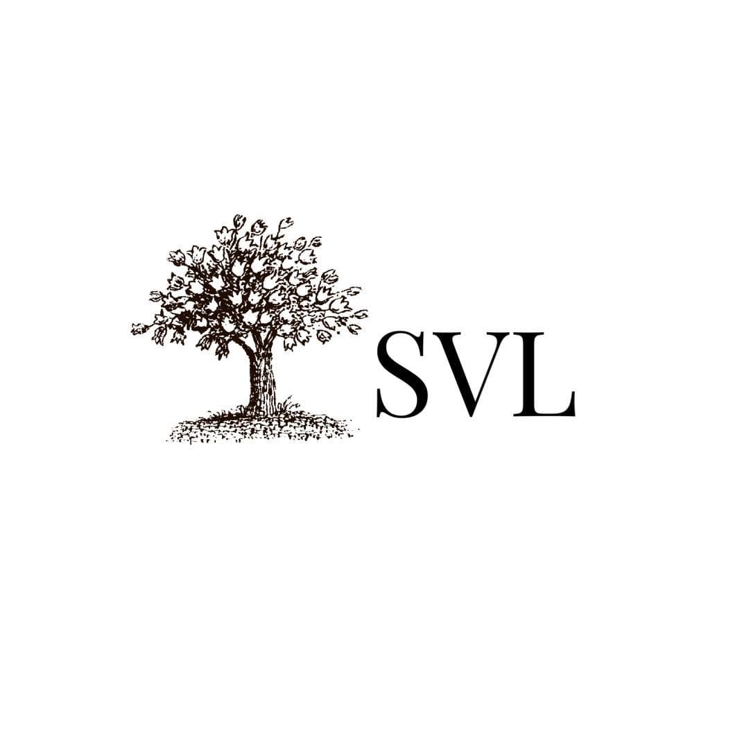 Sammy's Visionary color logo
