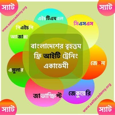 স্যাট একাডেমী color logo
