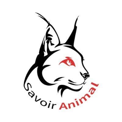 Savoir Animal color logo