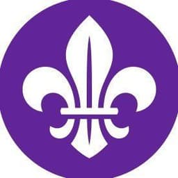 World Scouting