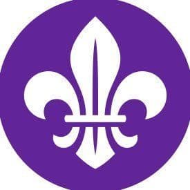 World Scouting color logo