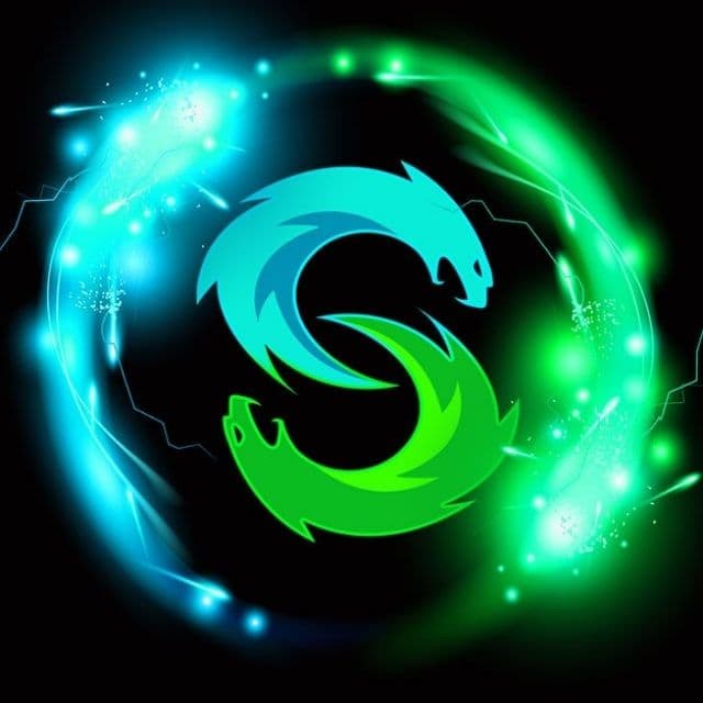 SengToto color logo