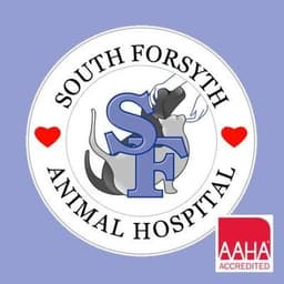 South Forsyth AH