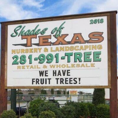 Shades of Texas color logo