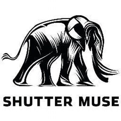 Shutter Muse color logo